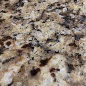 Meet your Posher, Lydia